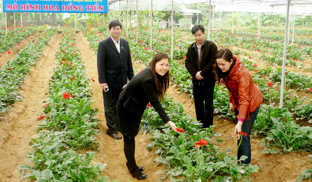 High-tech flower growing model