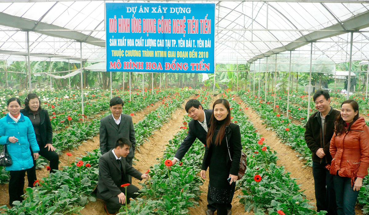 High-tech flower growing model